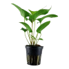 6101-2-3-78.png.webp