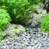 6596-6923-plantahunter-river-s-02.jpg.webp
