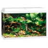 akvaarium-primo-led-70-l.jpg