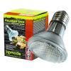 komodo-halogen-50w-halog-4.jpg