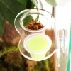 komodo-jelly-pot-melon-p-17.jpg