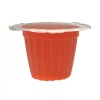 komodo-jelly-pot-mango-p-1.jpg