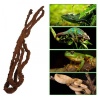 komodo-tropical-vine-lia-12.jpg