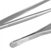 terrario-vipertweez-simp-2.jpg