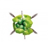 pontec-pondohyacinth-ply-1.jpg