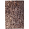 repti-zoo-big-tree-backg-45.jpg