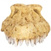 repti-zoo-crocodile-skul-16.jpg