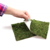 repti-zoo-natural-mossy-46.jpg