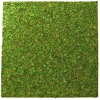 repti-zoo-natural-mossy-55.jpg