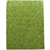 repti-zoo-natural-mossy-60.jpg