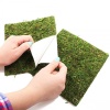 repti-zoo-natural-mossy-63.jpg