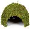 repti-zoo-natural-mossy-66.jpg