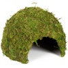 repti-zoo-natural-mossy-67.jpg