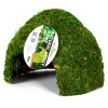 repti-zoo-natural-mossy-68.jpg