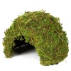 repti-zoo-natural-mossy-70.jpg