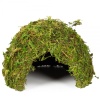 repti-zoo-natural-mossy-71.jpg