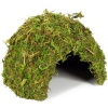 repti-zoo-natural-mossy-72.jpg