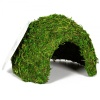 repti-zoo-natural-mossy-73.jpg