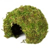 repti-zoo-natural-mossy-75.jpg