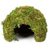 repti-zoo-natural-mossy-76.jpg