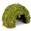 repti-zoo-natural-mossy-77.jpg
