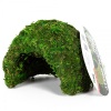 repti-zoo-natural-mossy-78.jpg