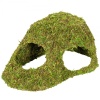 repti-zoo-natural-mossy-80.jpg