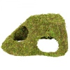 repti-zoo-natural-mossy-81.jpg