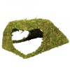 repti-zoo-natural-mossy-82.jpg