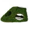 repti-zoo-natural-mossy-83.jpg