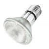 repti-zoo-halogen-grzewc-42.jpg