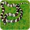 repti-zoo-carpet-mat-pod-81.jpg