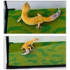 repti-zoo-carpet-mat-pod-83.jpg