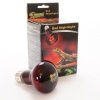 super-reptile-red-50w-po.jpg