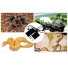 terrario-premium-repti-p-8.jpg